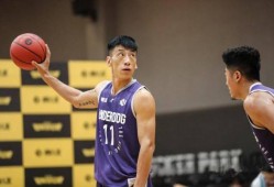 王晶篮球爆料视频,揭秘篮球界不为人知的幕后故事